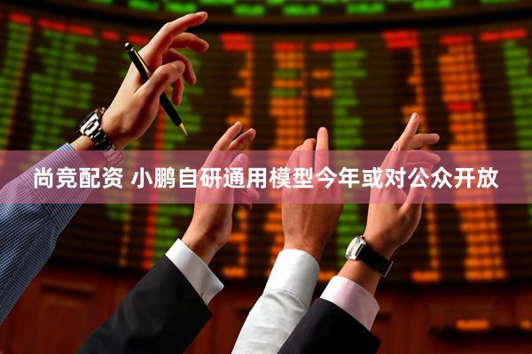 尚竞配资 小鹏自研通用模型今年或对公众开放