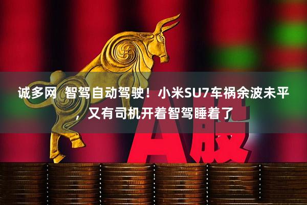 诚多网  智驾自动驾驶！小米SU7车祸余波未平，又有司机开着智驾睡着了