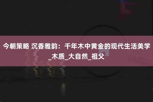 今朝策略 沉香雅韵：千年木中黄金的现代生活美学_木质_大自然_祖父