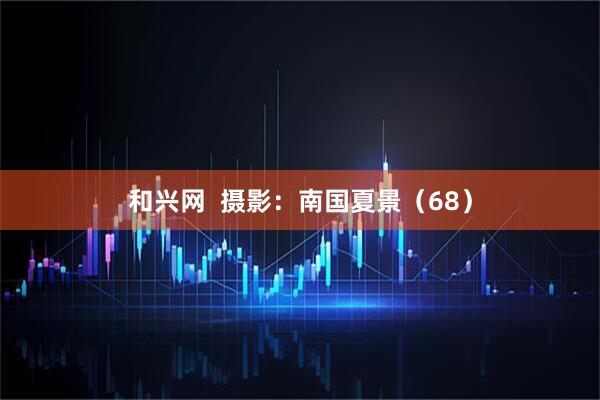 和兴网  摄影：南国夏景（68）