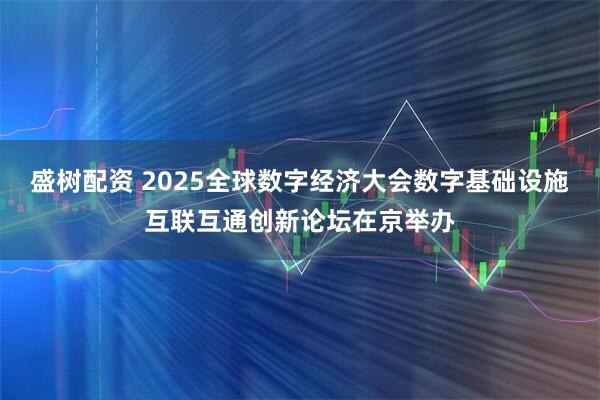 盛树配资 2025全球数字经济大会数字基础设施互联互通创新论坛在京举办